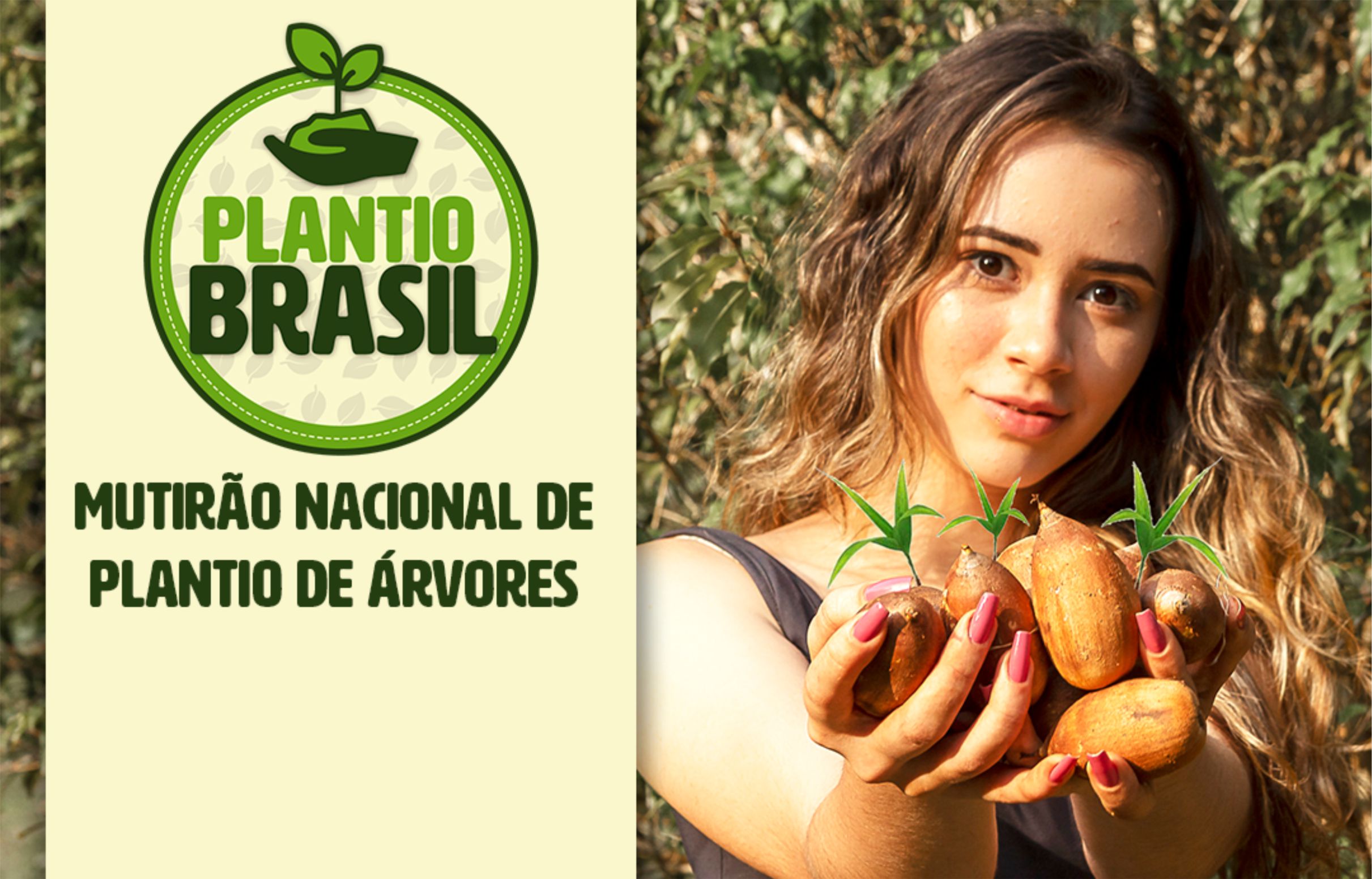 Mutirão Nacional de Plantio de Árvores será realizado no município